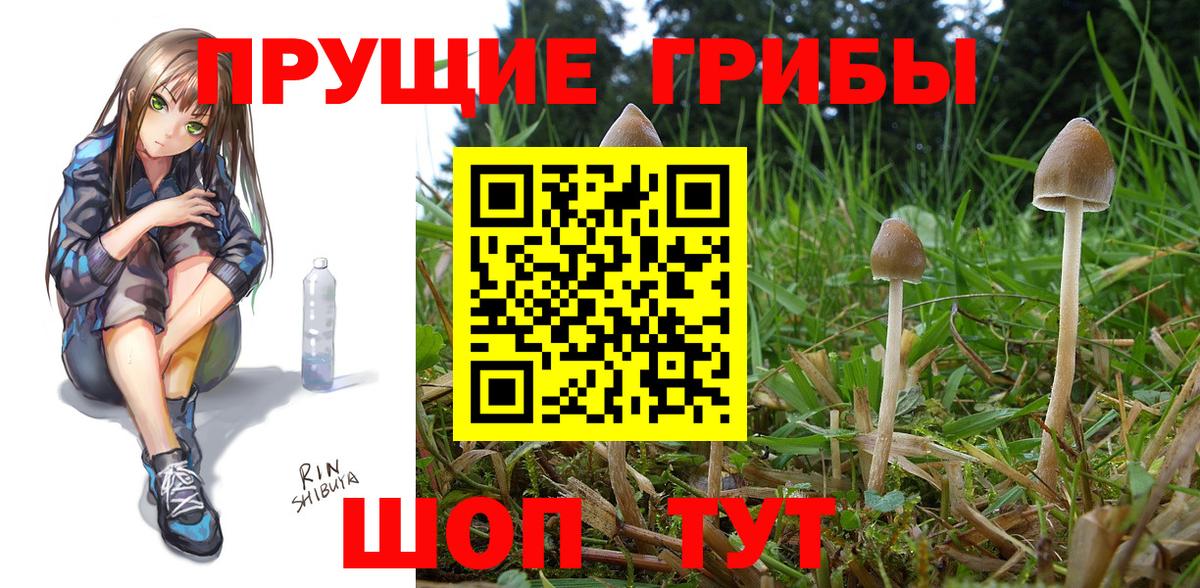 Псилоцибиновые грибы ЛСД Ростов Великий