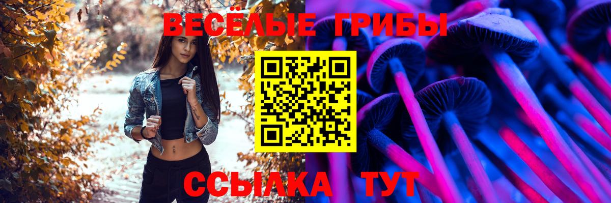 Псилоцибиновые грибы Psilocybine cubensis  Галлюциногенные грибы Cubensis  Ростов Великий  Вход с VPN 
